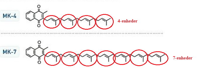 Forskellen mellem MK-4 og MK-7 ligger i strukturen af stoffet. MK-4 har kun 4 "Isopren' enheder hvorimod MK-7 har 7 enheder.